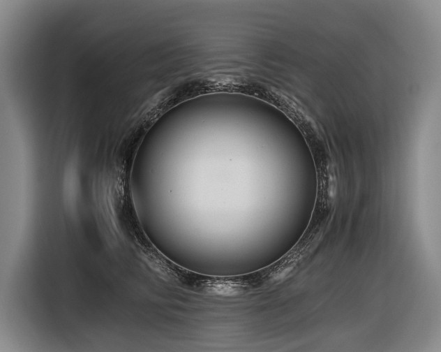X0000116440710200912081556