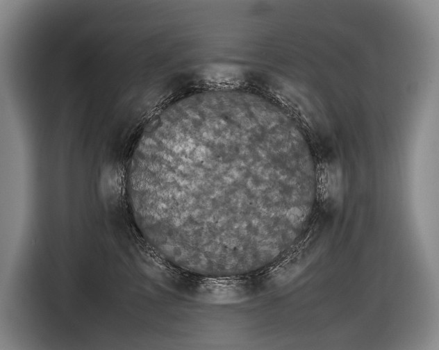 X0000116440713200912081556