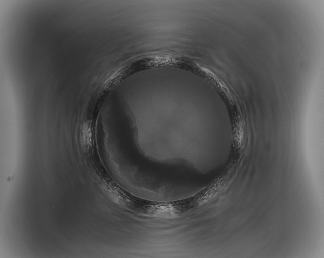 X0000116440715200912081556