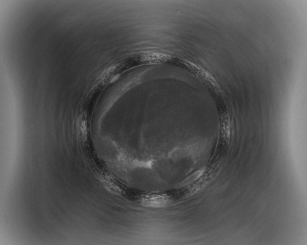 X0000116440716200912081556