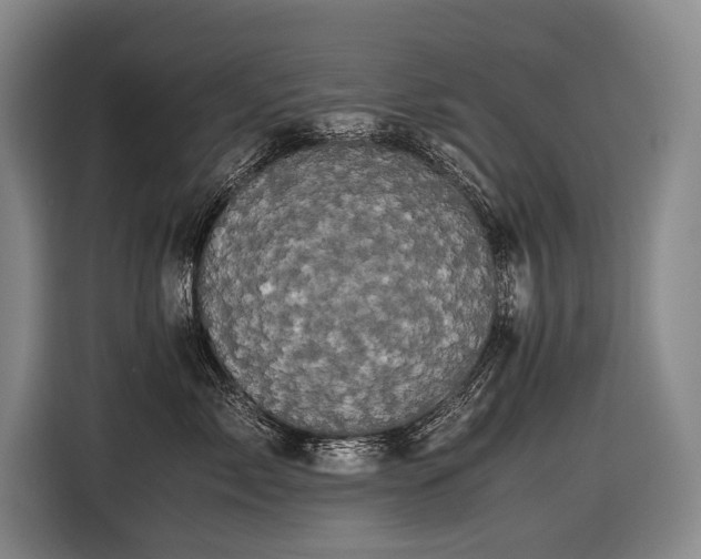 X0000116440717200912081556
