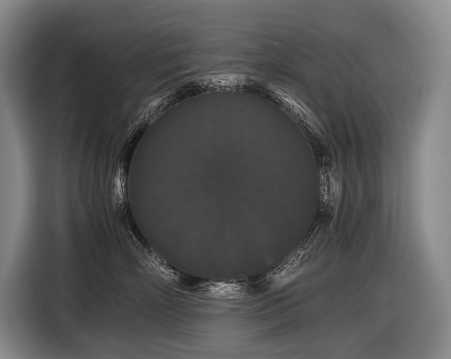 X0000116440718200912081556