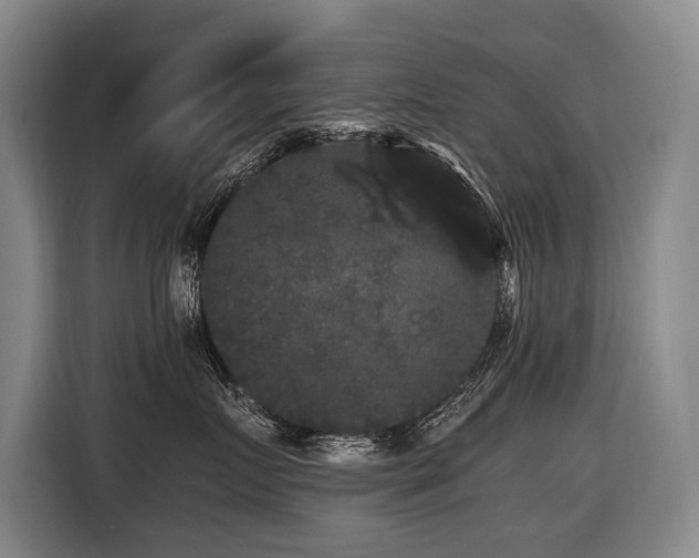 X0000116440719200912081556