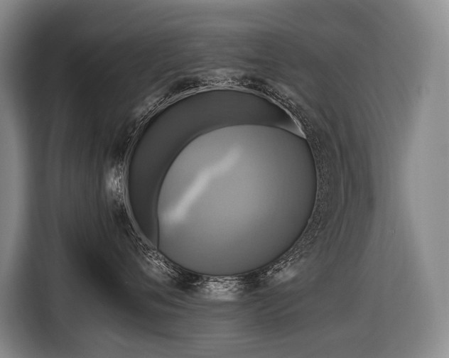 X0000116440720200912081556