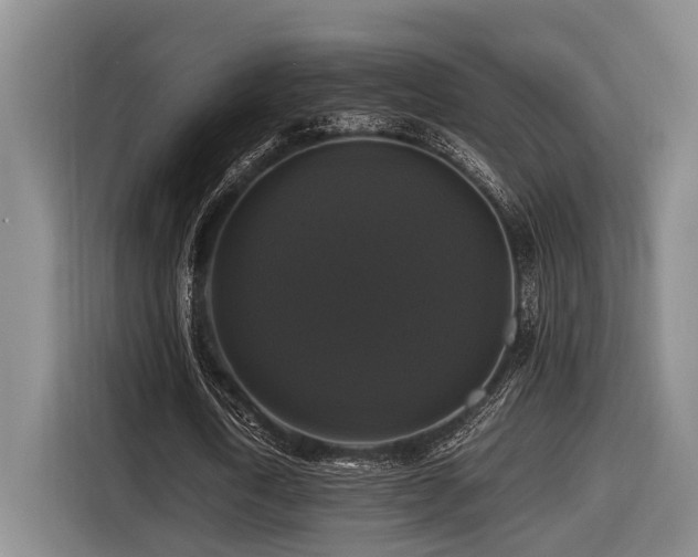 X0000116440722200912081556