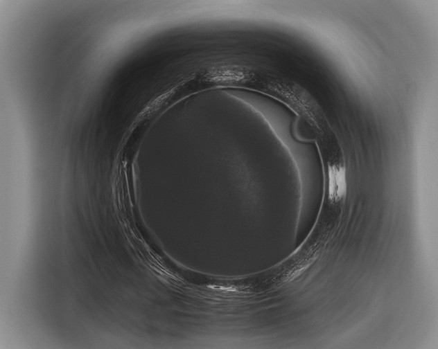X0000116440723200912081556