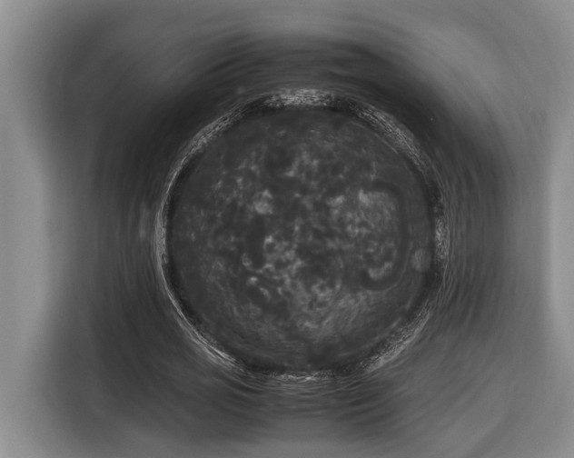 X0000116440725200912081556