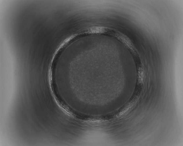 X0000116440726200912081556