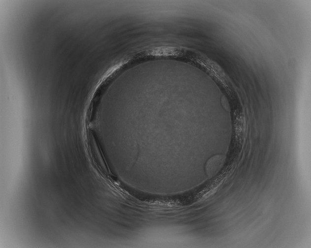 X0000116440727200912081556
