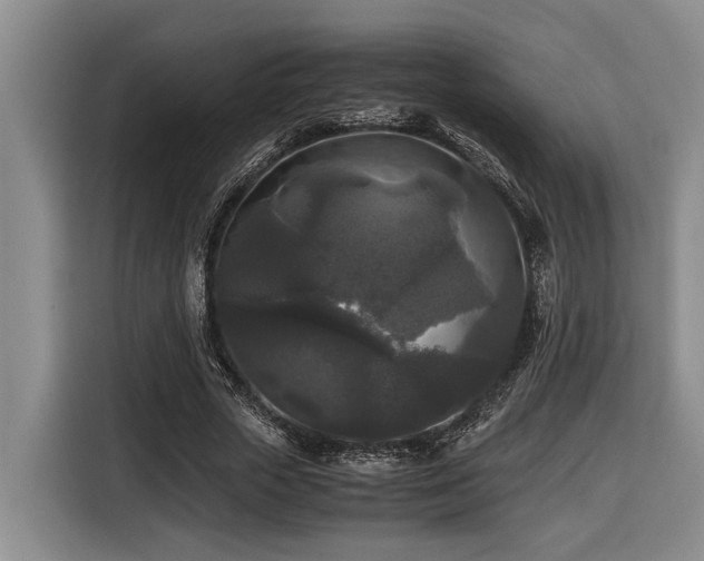 X0000116440729200912081556