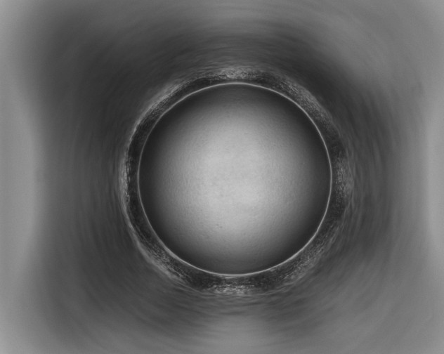 X0000116440730200912081556