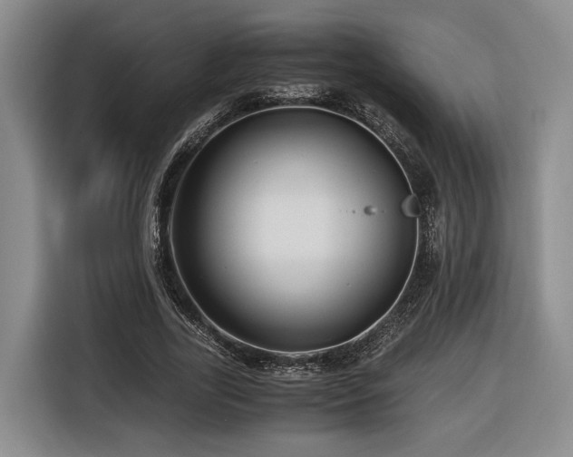 X0000116440731200912081556