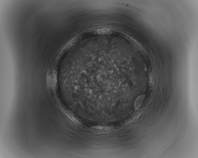 X0000116440733200912081556