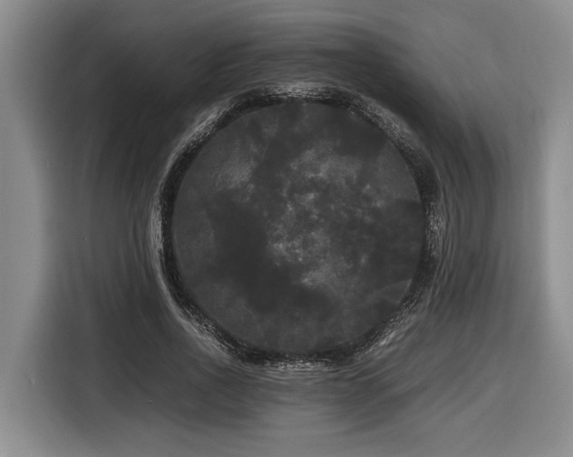 X0000116440734200912081556