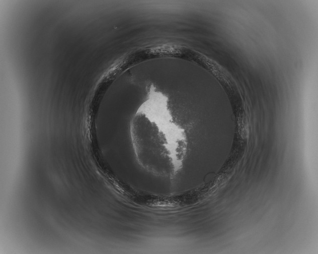 X0000116440735200912081556