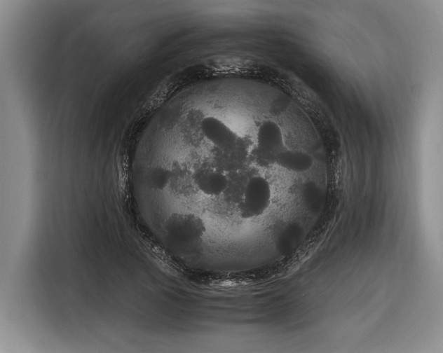X0000116440737200912081556