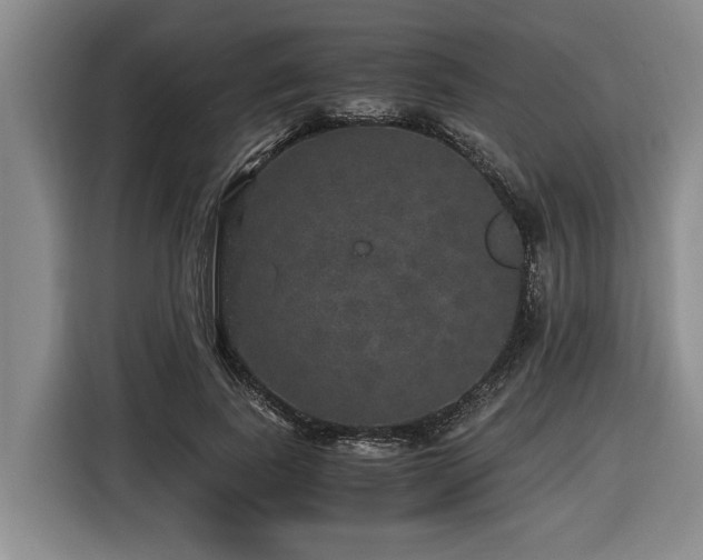 X0000116440739200912081556