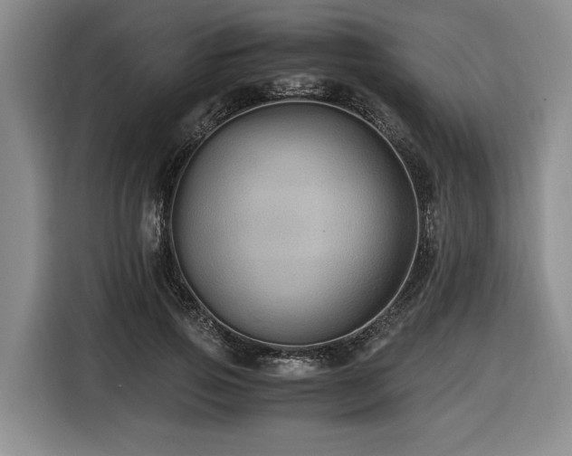 X0000116440741200912081556