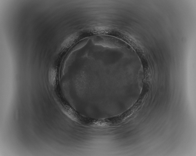 X0000116440742200912081556