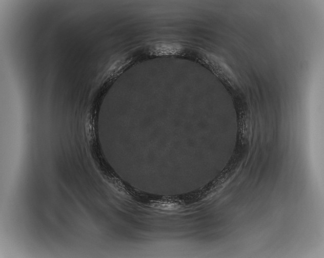 X0000116440743200912081556