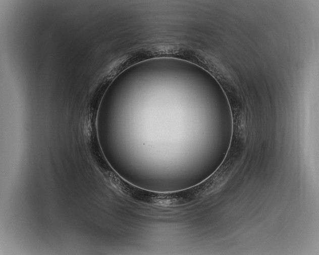X0000116440746200912081556