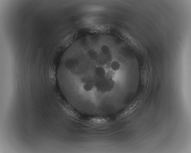 X0000116440749200912081556