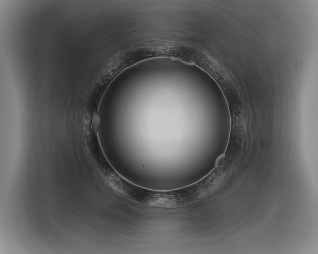 X0000116440750200912081556