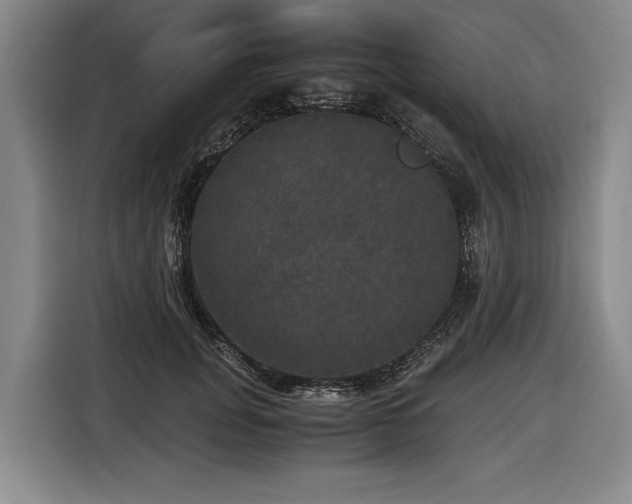 X0000116440751200912081556