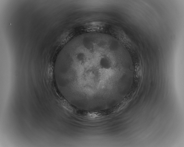 X0000116440753200912081556