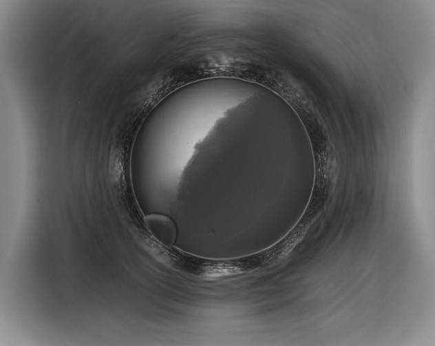X0000116440754200912081556