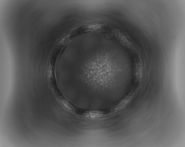 X0000116440758200912081556