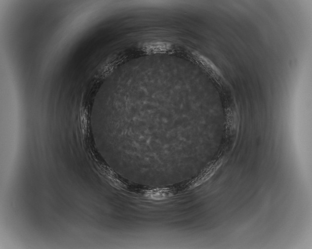 X0000116440761200912081556