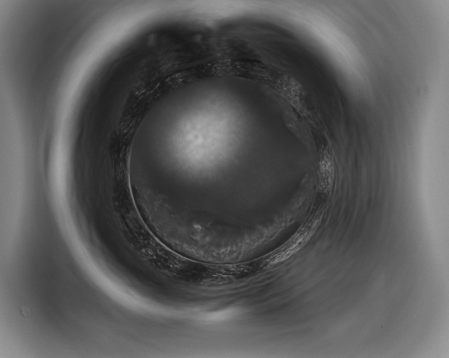 X0000116440765200912081556