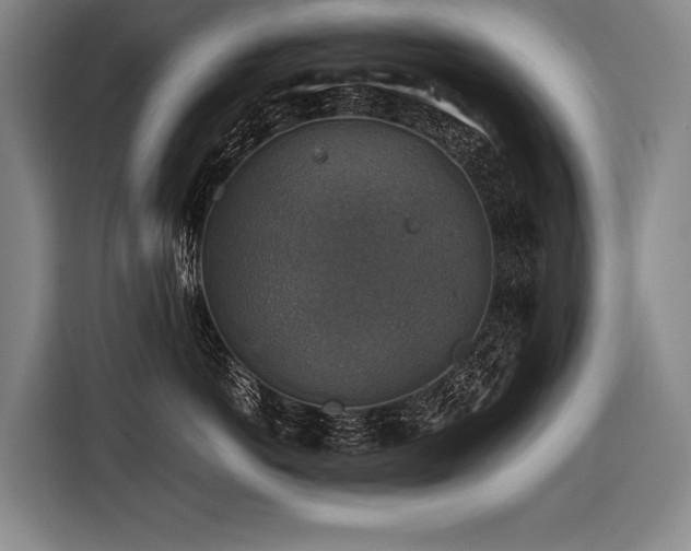 X0000116440766200912081556