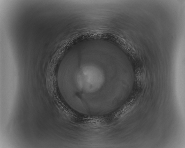 X0000116440769200912081556