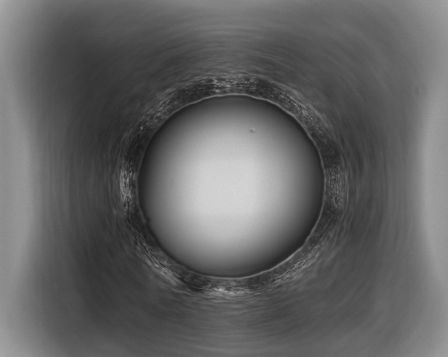 X0000116440770200912081556