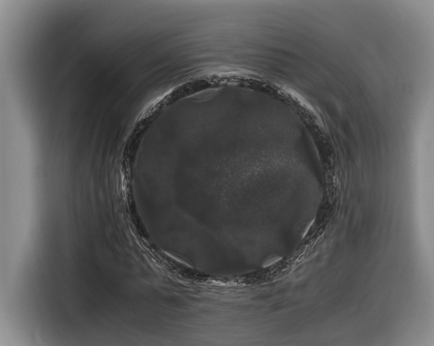 X0000116440775200912081555