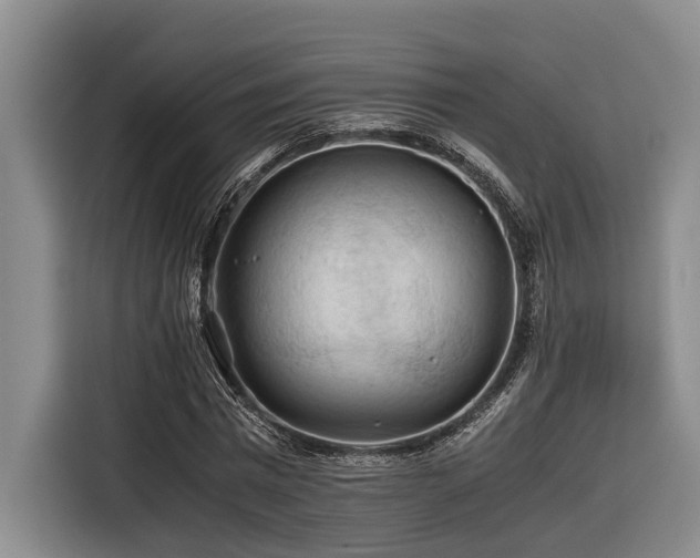 X0000116440777200912081555