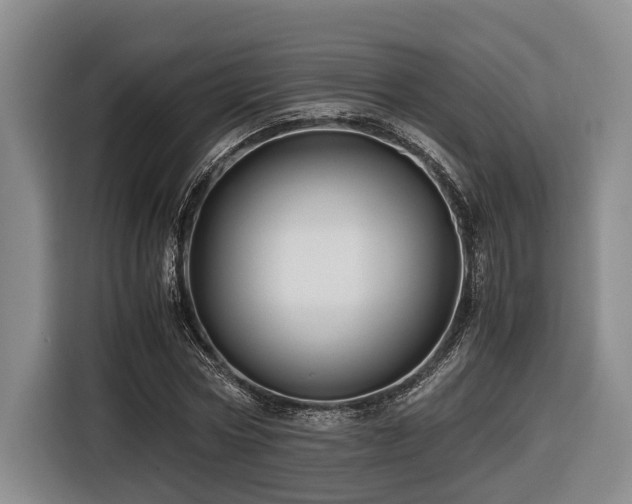 X0000116440778200912081555