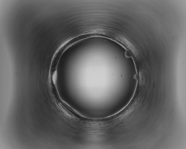 X0000116440780200912081555