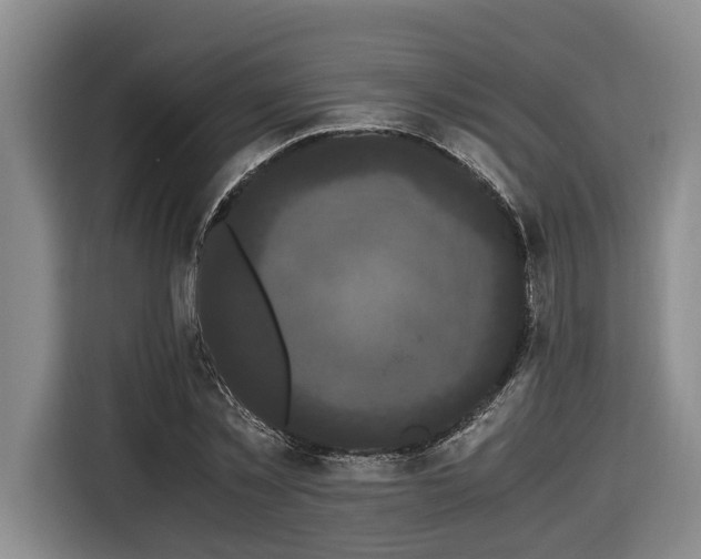 X0000116440781200912081555