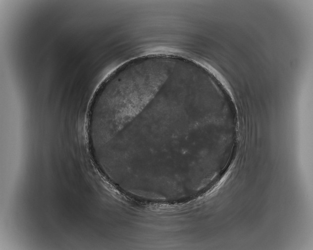 X0000116440783200912081555