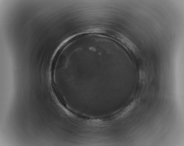 X0000116440784200912081555