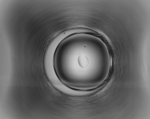 X0000116440785200912081555