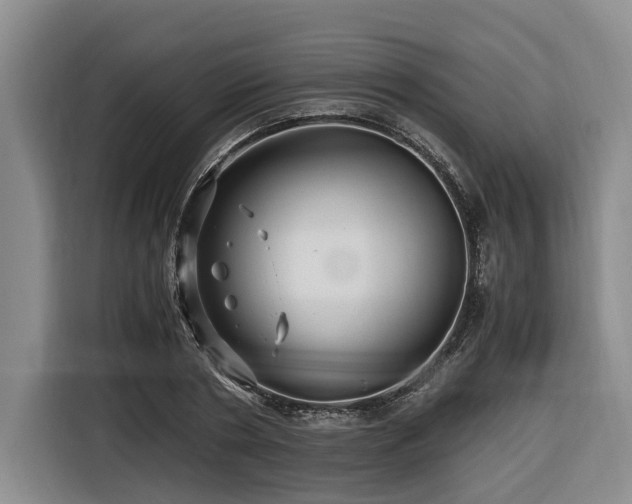 X0000116440786200912081555