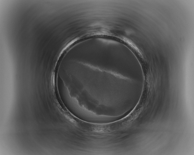X0000116440790200912081555