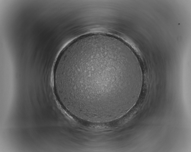 X0000116440791200912081555