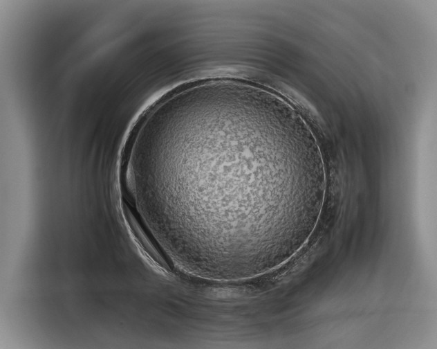 X0000116440792200912081555