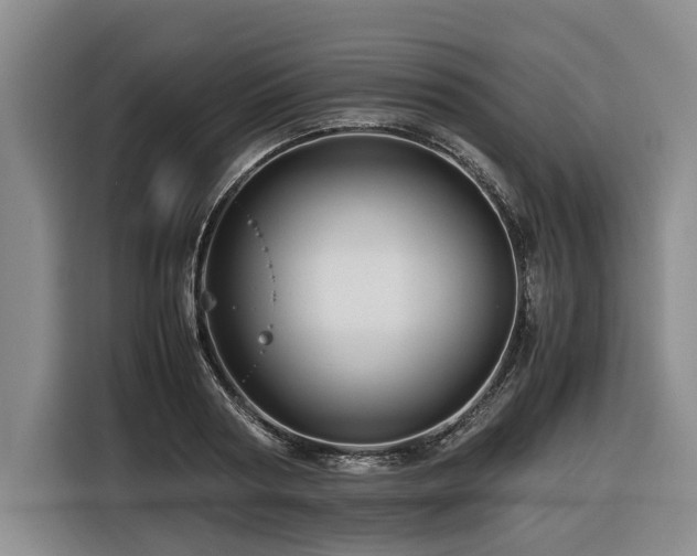 X0000116440794200912081555