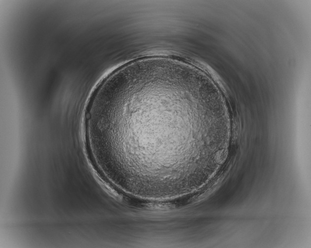 X0000116440795200912081555